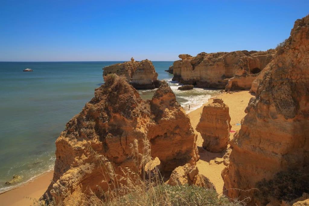 Superbe Paradis Dans Les Jardins De La Marina البوفيرا المظهر الخارجي الصورة