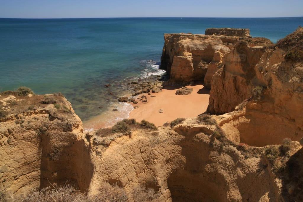Superbe Paradis Dans Les Jardins De La Marina البوفيرا المظهر الخارجي الصورة